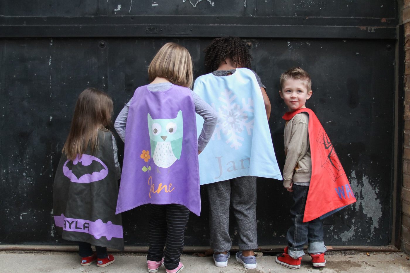 Reversible Owl