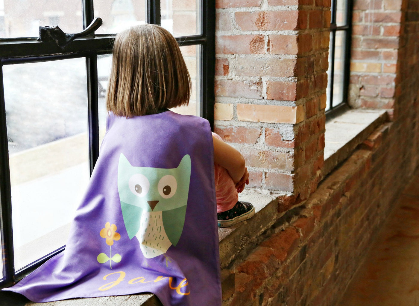 Reversible Owl