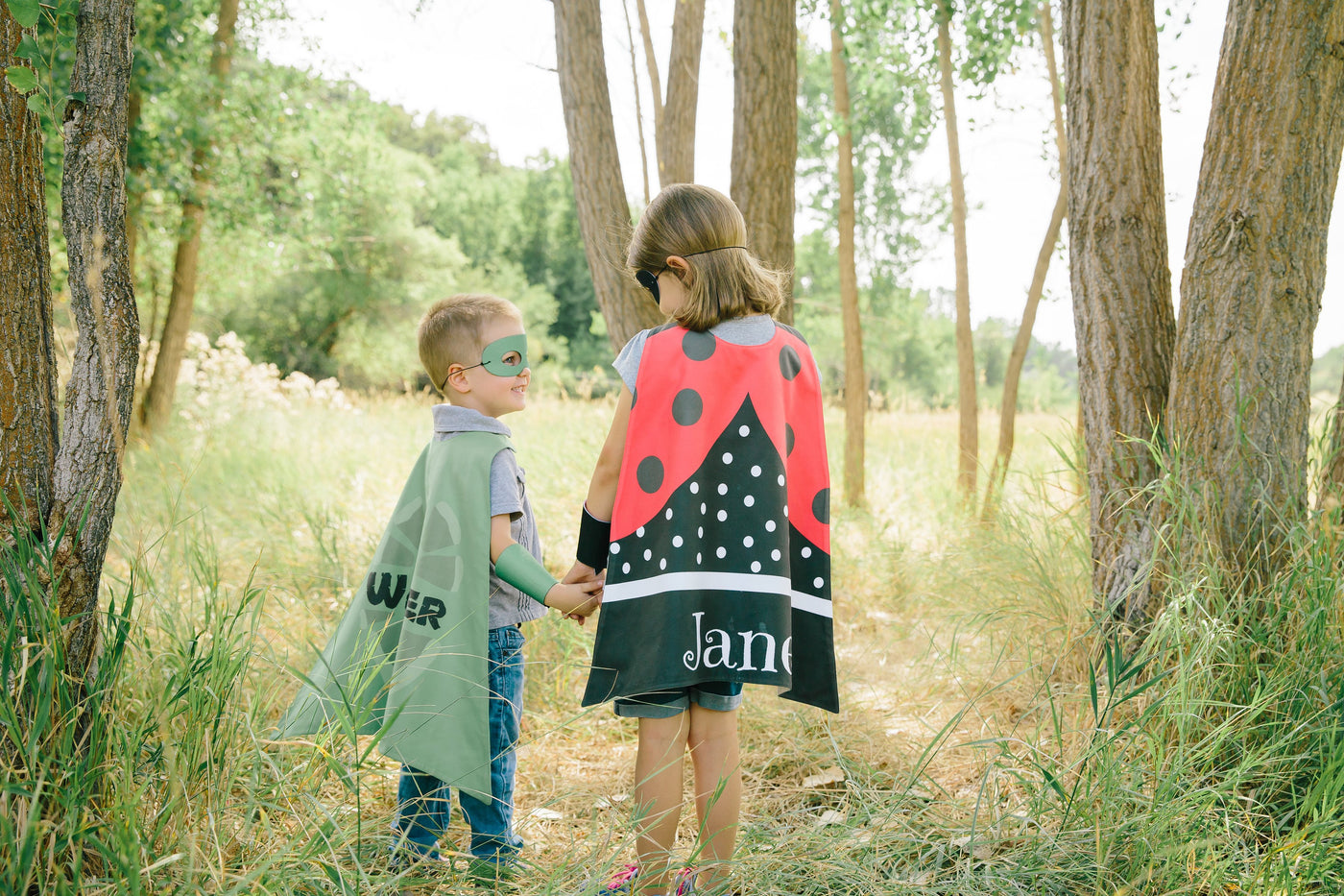 Reversible Ladybug