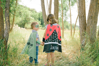 Reversible Ladybug