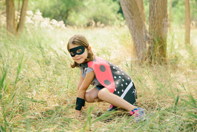Reversible Ladybug