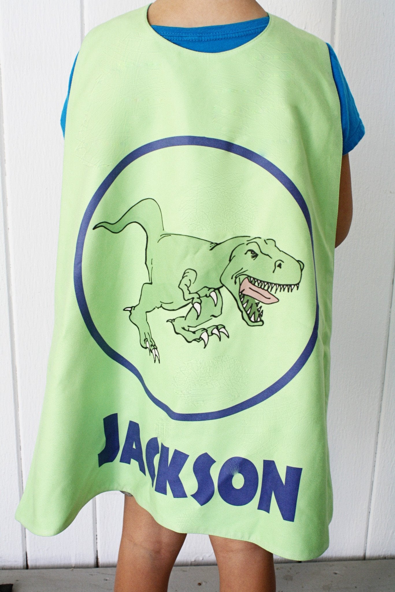 Reversible Dinosaur in Blue Circle on Green