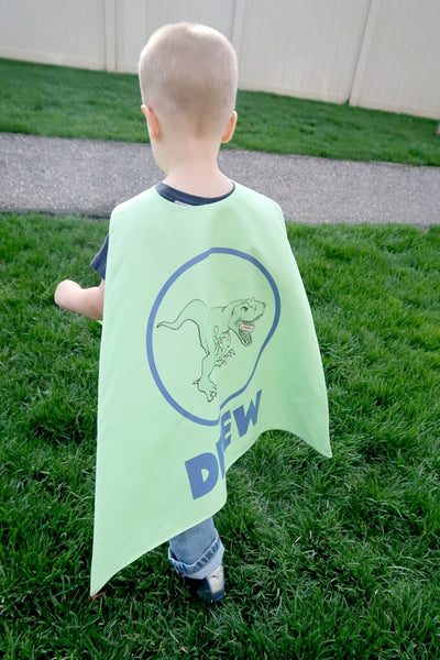 Dinosaur in Blue Circle on Green