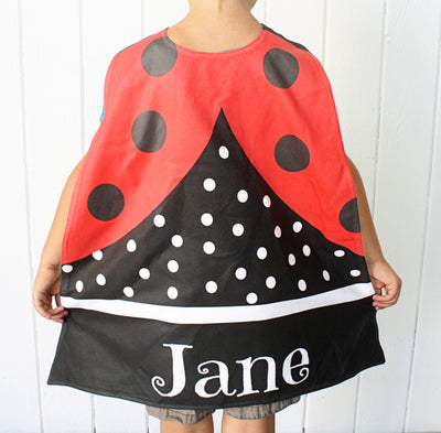 Reversible Ladybug