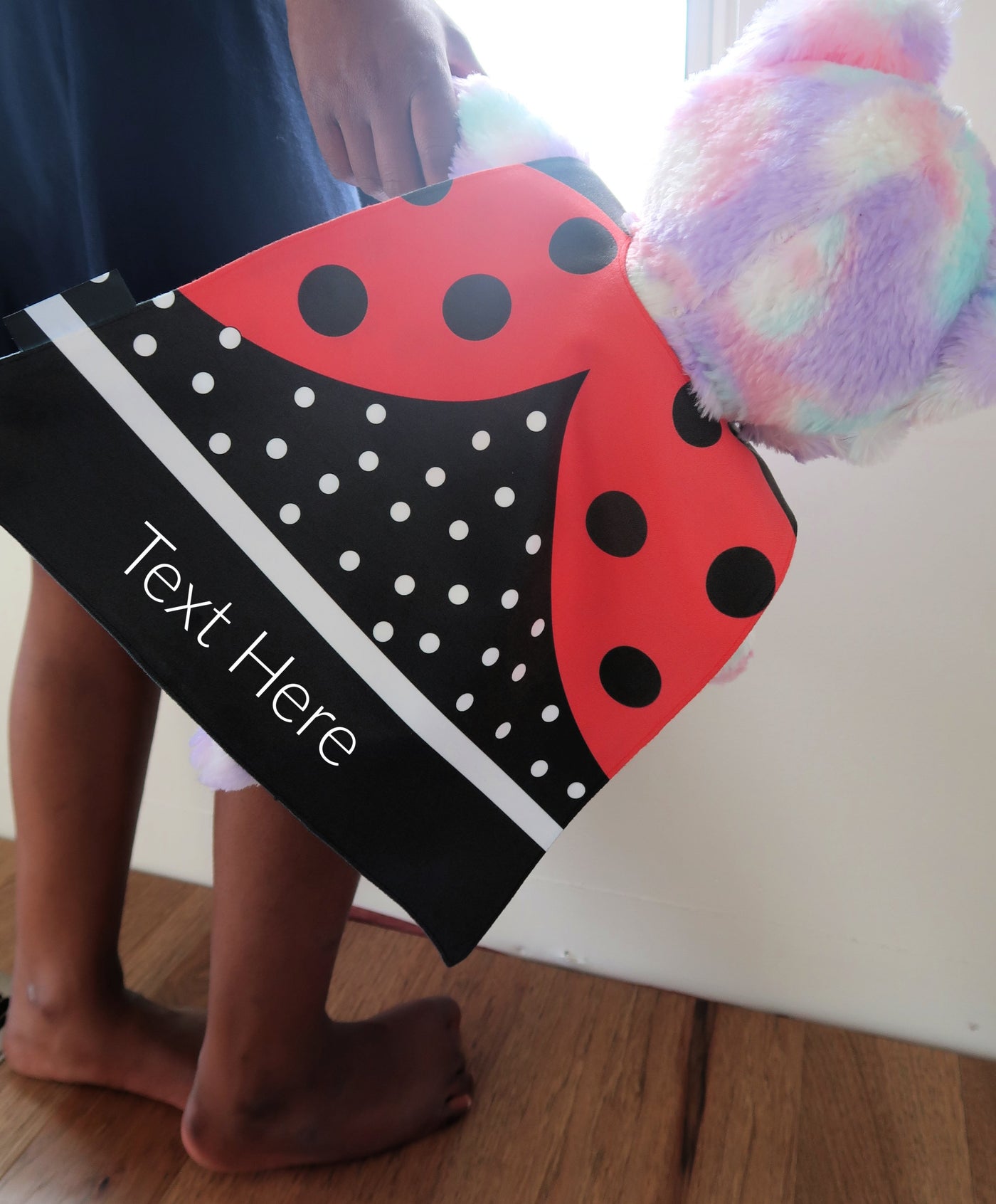 Mini Ladybug