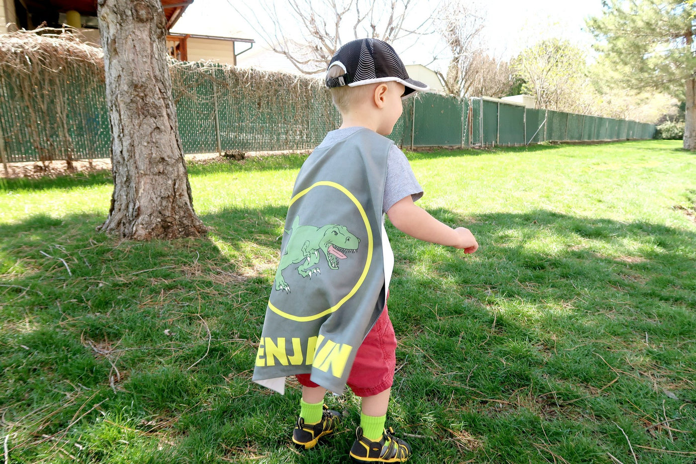 Reversible Dinosaur in Yellow Circle on Grey