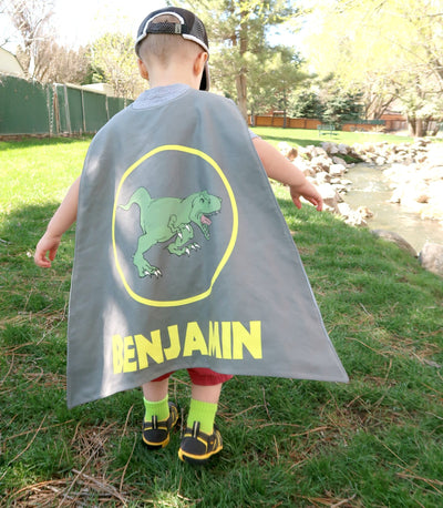 Reversible Dinosaur in Yellow Circle on Grey