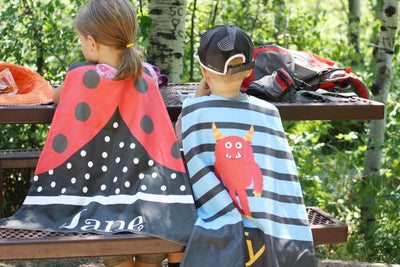 Reversible Ladybug
