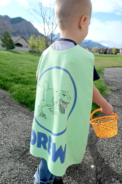 Reversible Dinosaur in Blue Circle on Green