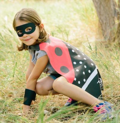 Reversible Ladybug